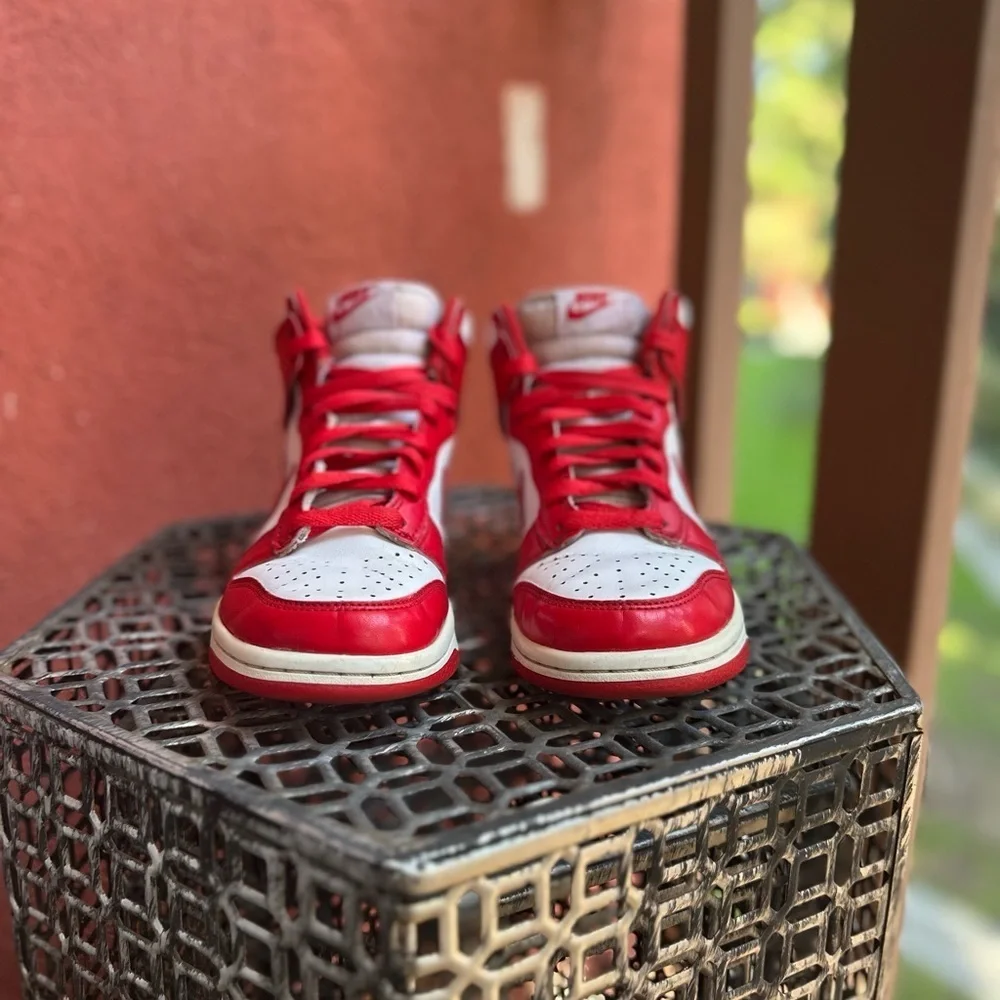 Nike Dunk High